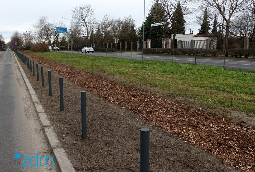 Więcej drzew przy Dąbrowskiego!