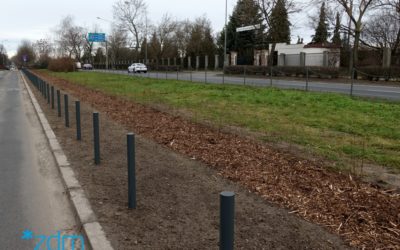 Więcej drzew przy Dąbrowskiego!