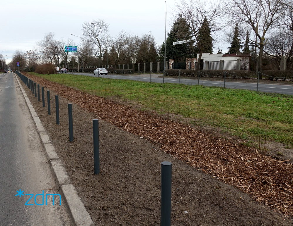 Zasadzone drzewa na ogrodach Poznań