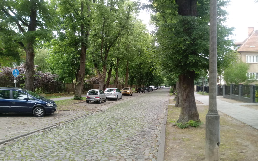 Uliczki naszego osiedla (część I ) – ul. Botaniczna