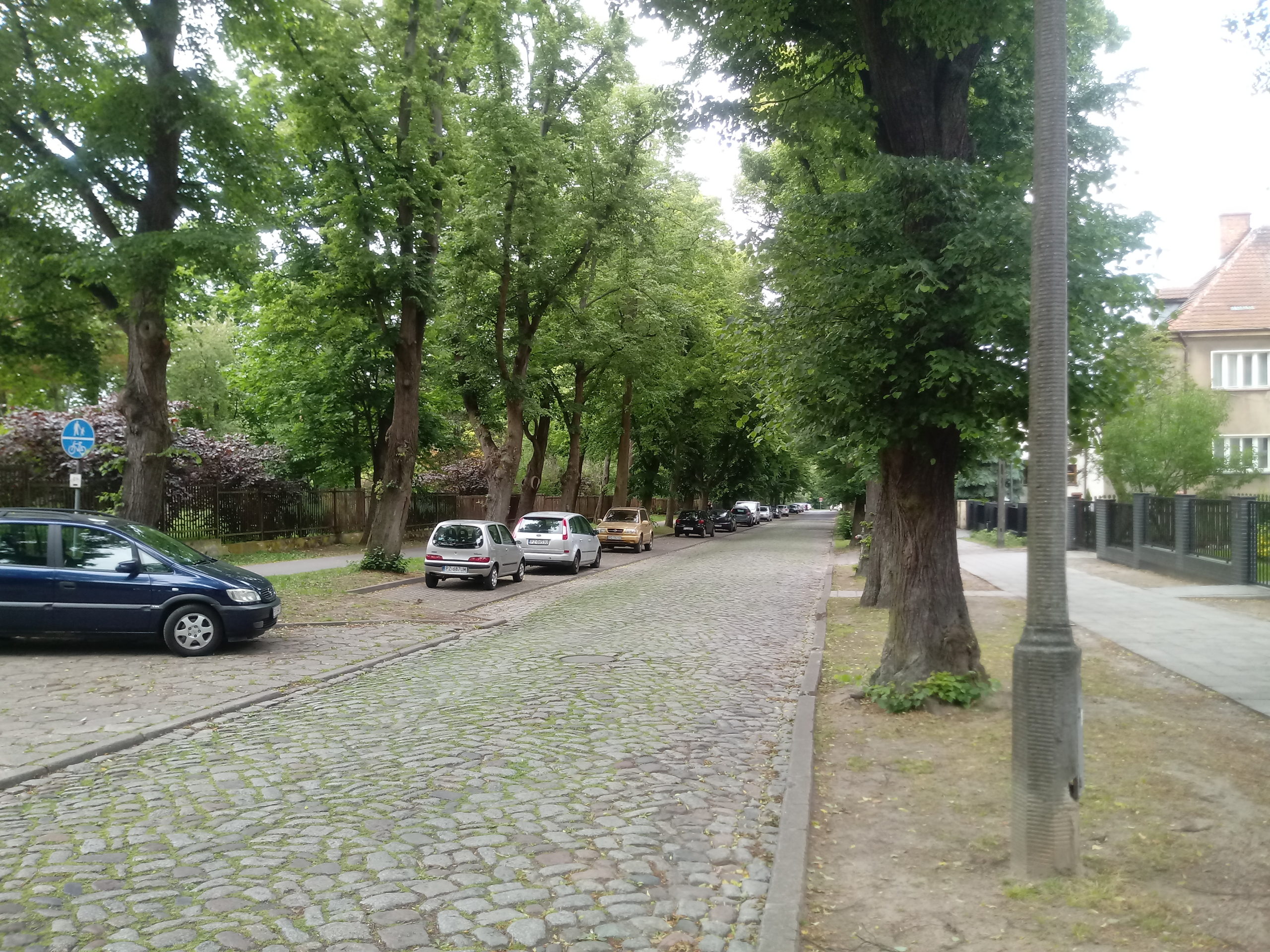 Ulica Botaniczna Poznań Osiedle Ogrody