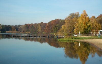 UAM badanie poświęcone jezioru Rusałka i jego najbliższej okolicy