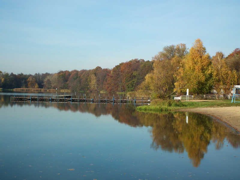 Badanie UAM Rusałka Rady Osiedla Ogrody