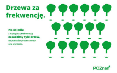Międzyosiedlowa rywalizacja o frekwencję w Poznaniu: miasto w nagrodę  posadzi u zwycięzców drzewa.